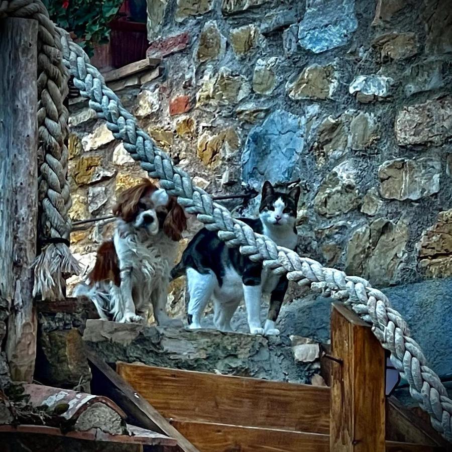 Camere Vecchia Fonte Campiglia Marittima Bagian luar foto