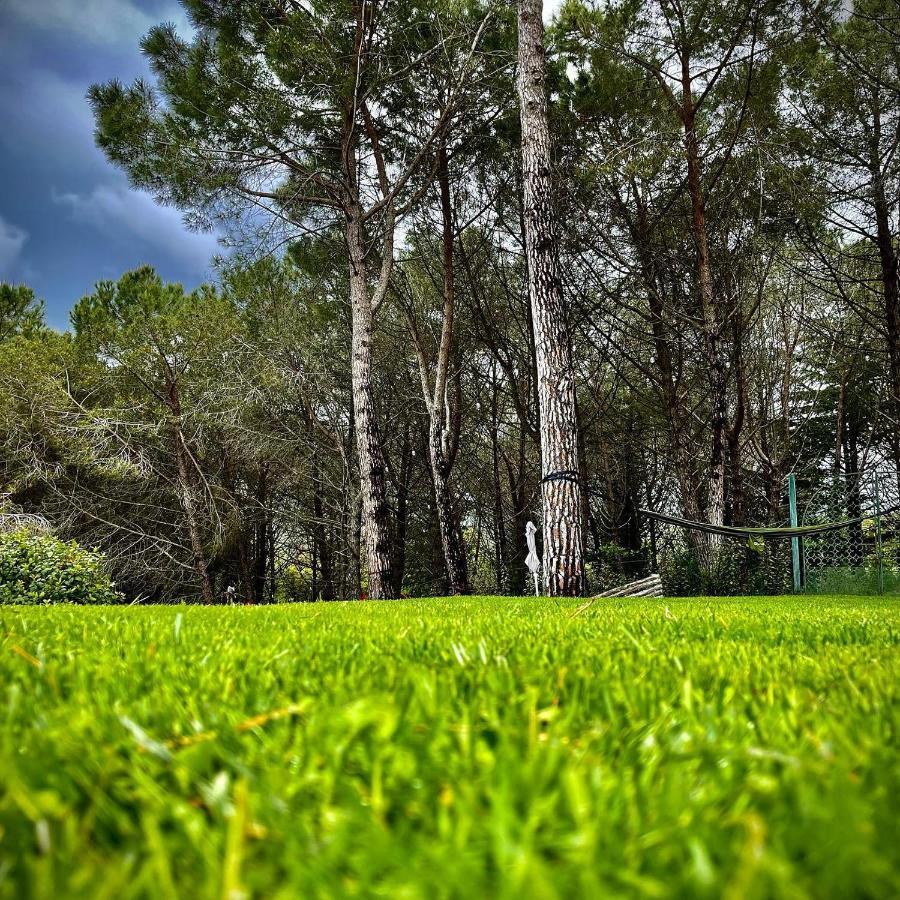 Camere Vecchia Fonte Campiglia Marittima Bagian luar foto